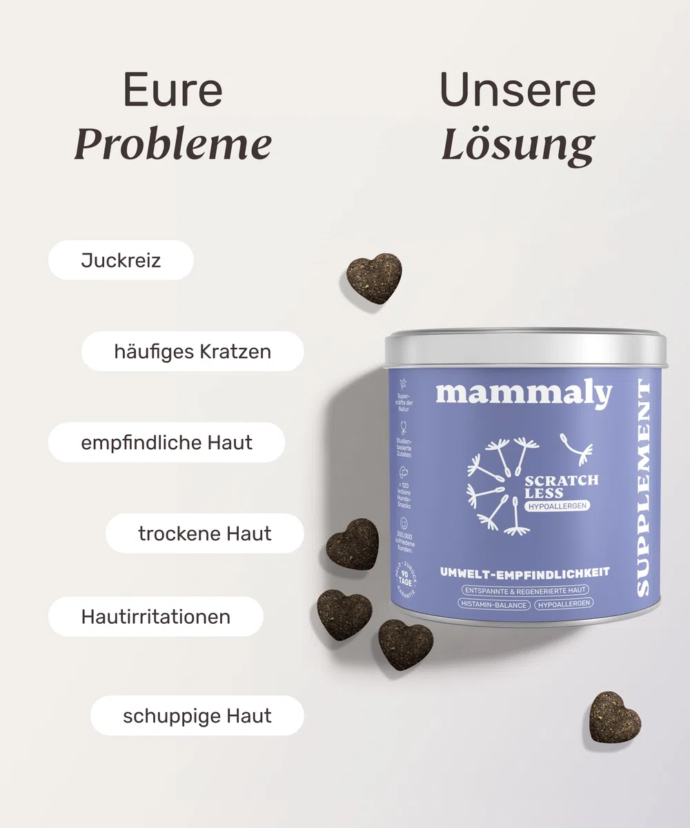 7-in-1 Hanföl-Leckerli für Hunde - Scratch Less 120 Snacks (350g) von mammaly - mit Zink, Bierhefe, PEA - kann Deinem Hund bei saisonalen & ganzjährigen Allergien und Juckreiz unterst.