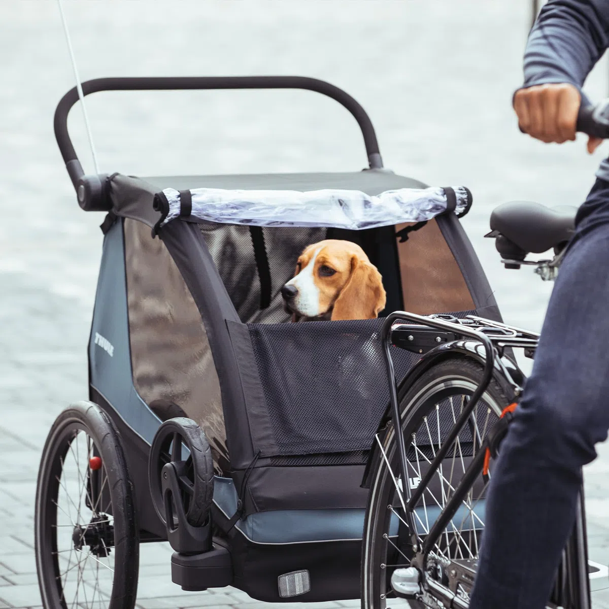 Thule Courier Dog Trailer Kit Hundeanhänger-kit Black, One-Size