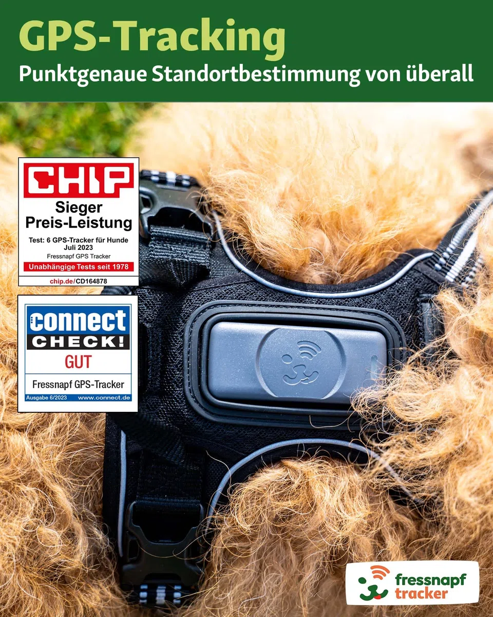 Fressnapf GPS Tracker Für Hunde - 2. Generation - Ohne ABO - Ortung Ohne Entfernungsbegrenzung - Aktivitätstracking - Gesundheitsfunktion - Hundefreundliches Design (ohne Personalisierung)
