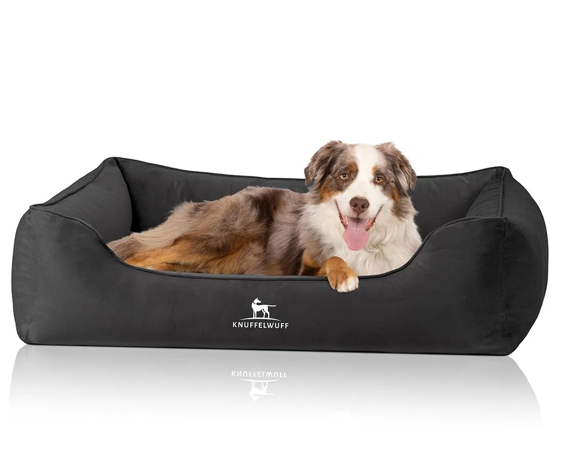 Knuffelwuff orthopädisches Hundebett Jona Samt M-L | Memory Foam | Bezug abnehmbar waschbar | gelenkschonend wärmend langlebig | für kleine mittelgroße große Hunde