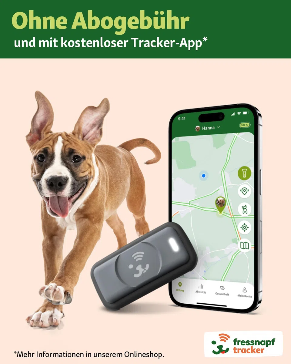 Fressnapf GPS Tracker Für Hunde - 2. Generation - Ohne ABO - Ortung Ohne Entfernungsbegrenzung - Aktivitätstracking - Gesundheitsfunktion - Hundefreundliches Design (ohne Personalisierung)