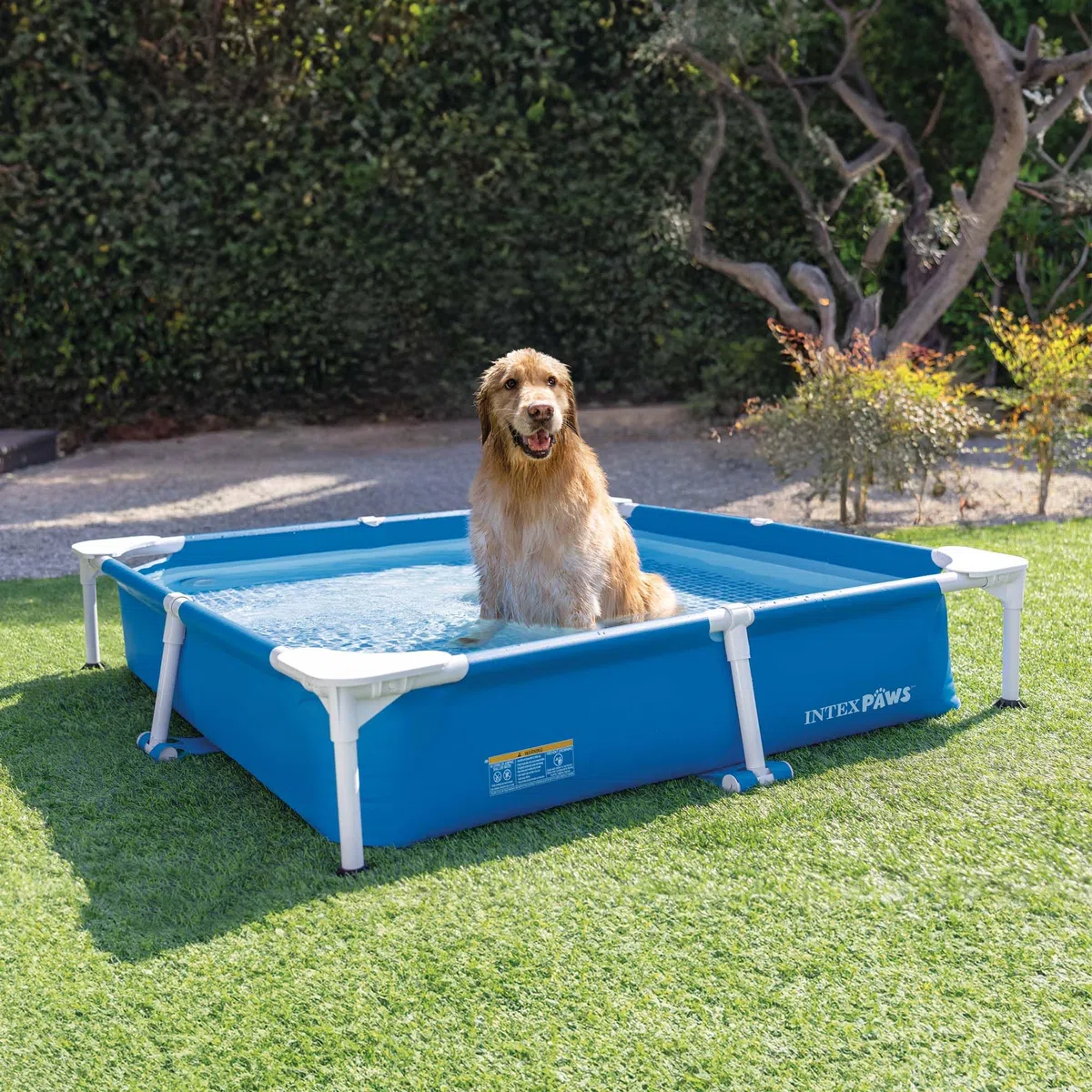 Intex - 48402NP – Pool-Set mit röhrenförmigen Tieren, quadratisch