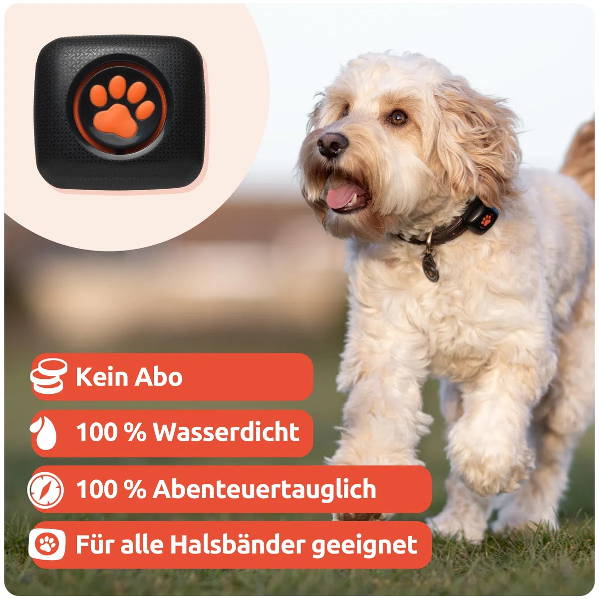 PitPat Aktivitäts & Fitness Tracker für Hunde (ohne GPS) – kein Aufladen oder Abo erforderlich – Geeignet für alle Hunde und Halsbänder – Intelligenter Haustier Aktivitätstracker – 100 % wasserdicht