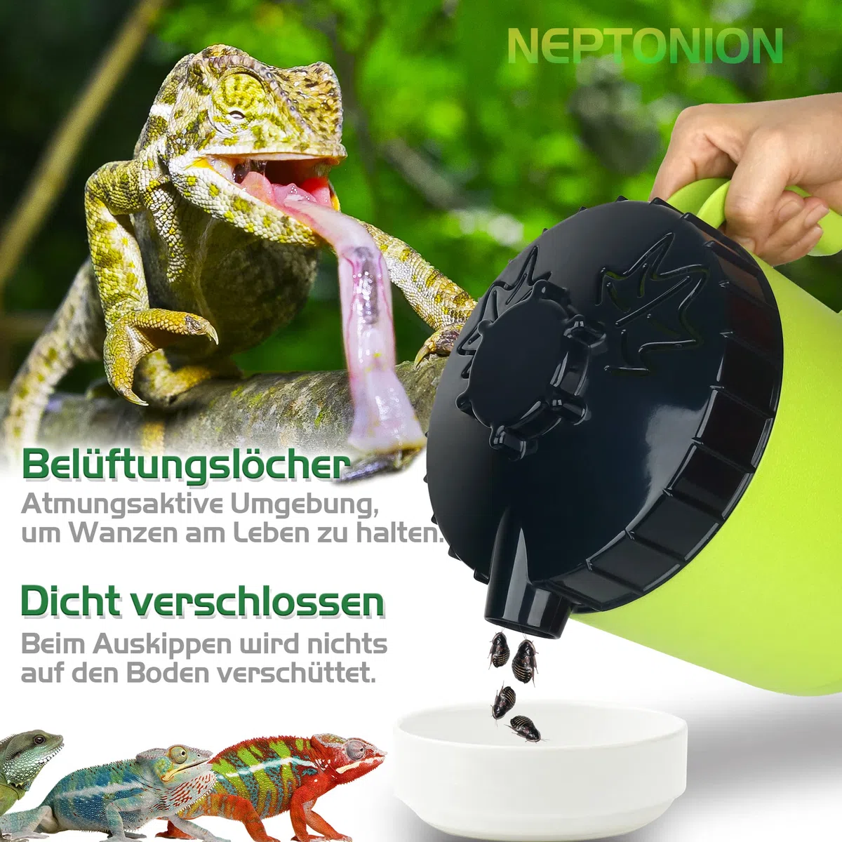 Cricket Keeper, Professioneller Dubias Keeper Futterinsekten-Organizer und Spender mit Bug Dirt Management, Solid Feed Support, Dubia Colony für Menschen mit Insektenphobie