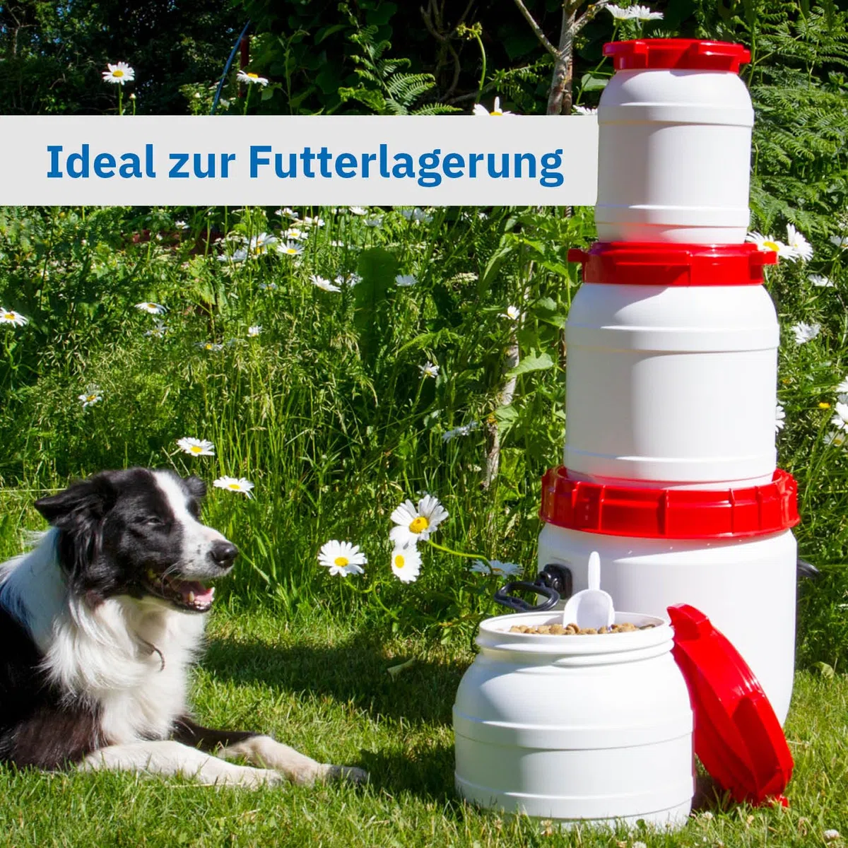 DIE BOX FABRIK Futtertonne für Tierfutter mit Deckel & Schaufel | Große Öffnung | Tierfutterbehälter | Futtercontainer | Futterbox | HDPE | Top-Qualität (6 Liter)