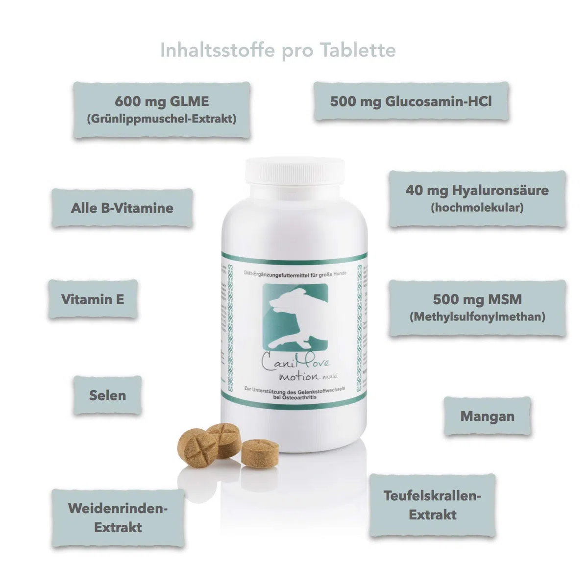 Motion Maxi - 100 Gelenktabletten (340 g) für große Hunde mit degenerativen Problemen des Bewegungsapparates