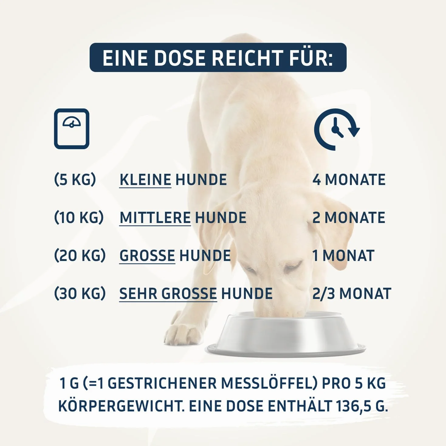 PetFokus Agility Complete | für gelenkempfindliche Hunde - natürliche Nahrungsergänzung - 11 wertvolle Inhaltsstoffe inkl. Grünlippmuschel, MSM, Teufelskralle - Pulver - in Deutschland produziert