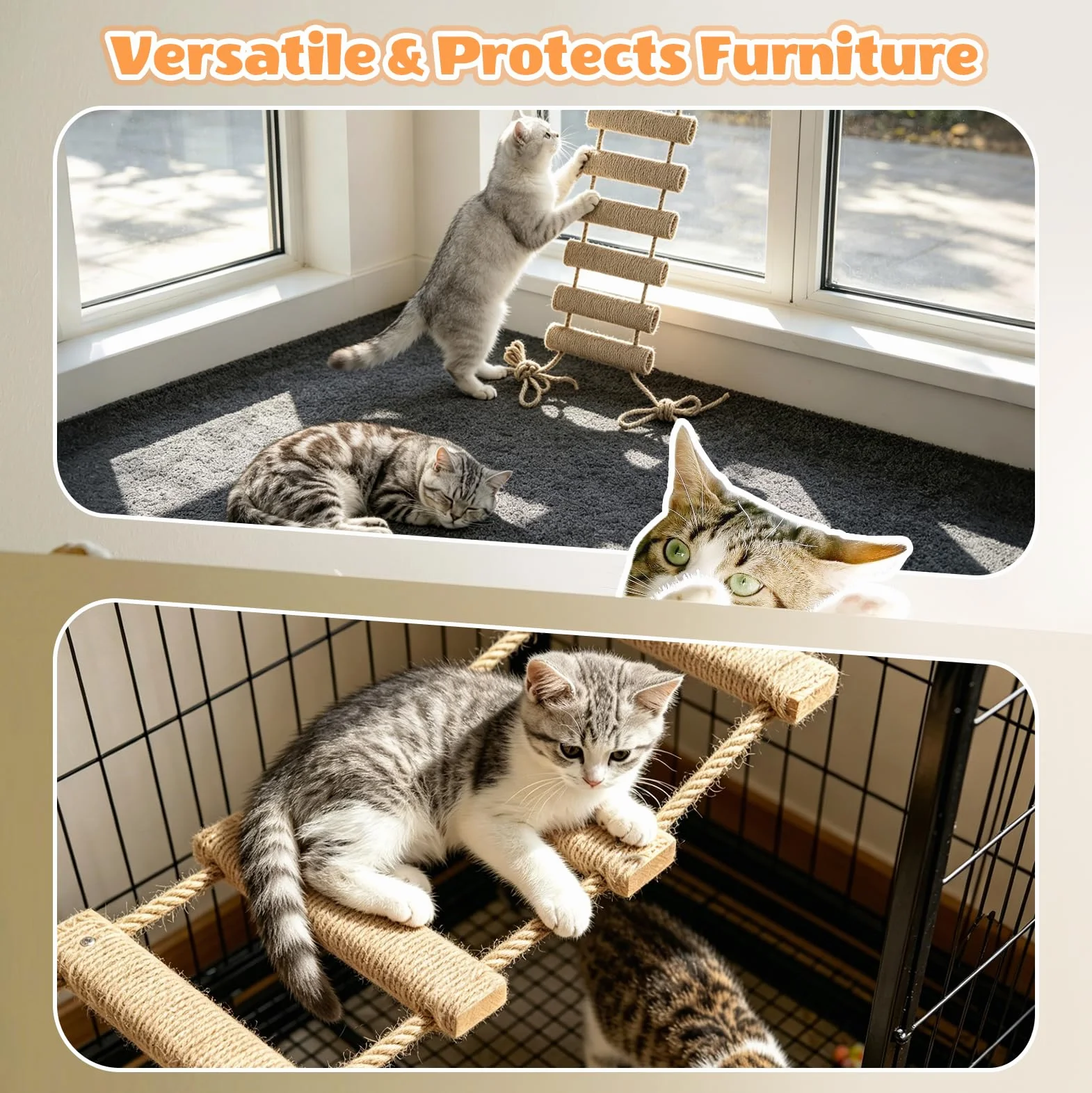 Katzenleiter 150 cm, Katzenleiterbrücke aus Holz & Sisalseil, Klettergerüst für Katzen, Aktivitätskratzbaum, Hängematte, Katzentreppe für Wand, Haustiermöbel, Khaki