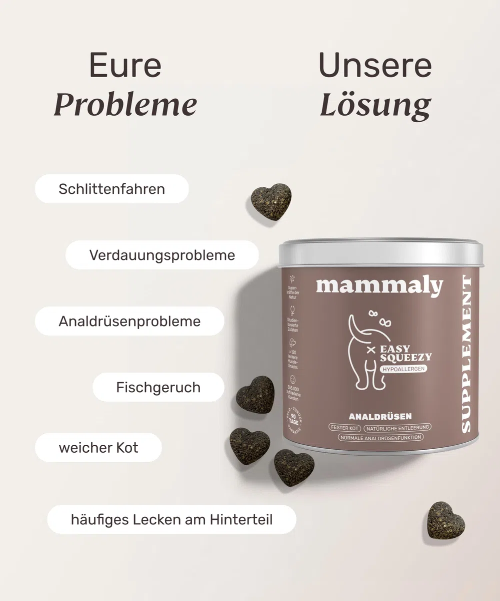 9 in 1 Analdrüsen Leckerli für Hunde mit Ballaststoffen - Easy Squeezy 120 Snacks (350g) von mammaly - gegen verstopfte Analdrüse - für festen KOT und natürliche Analdrüsenentleerung für deinen Hund