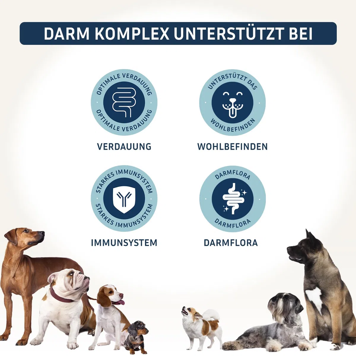 PetFokus Darm Komplex für Hunde - Unterstützung der Verdauung, entzündungshemmend, Gelenkgesundheit und Gewichtskontrolle, ergänzend zur Nass-, Trocken- oder Rohfütterung - in Deutschland produziert