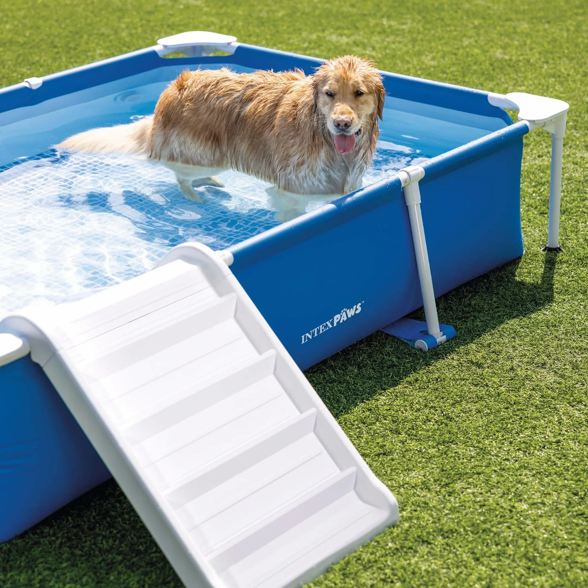 Intex - 48404NP – Pool-Set mit Rohren, Tiere, rechteckig