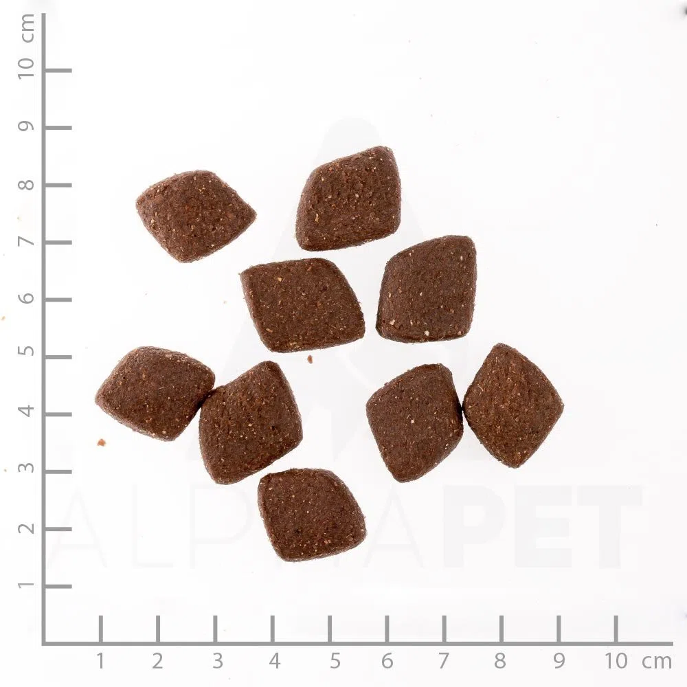 Wildes Land Halbfeuchtes Trockenfutter für Hunde Nr. 1 Lamm 5 kg | Mit Reis und Wildkräutern, Glutenfrei, Extra viel Fleisch, Für alle Hunderassen
