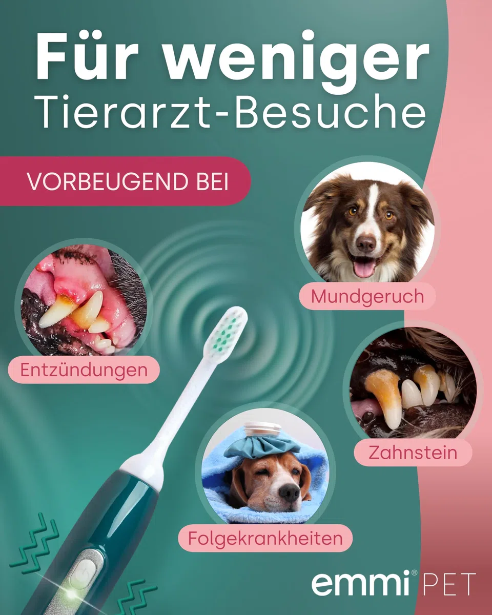 emmi-PET PRO Ultraschallzahnbürste für Hunde I Ultraschall Zahnpflege I Bis zu 96 Mio. Schwingungen/Min. & 12 Tage Akkulaufzeit I Inkl. Ladestation, Zahncreme & Aufsätzen I German Engineering