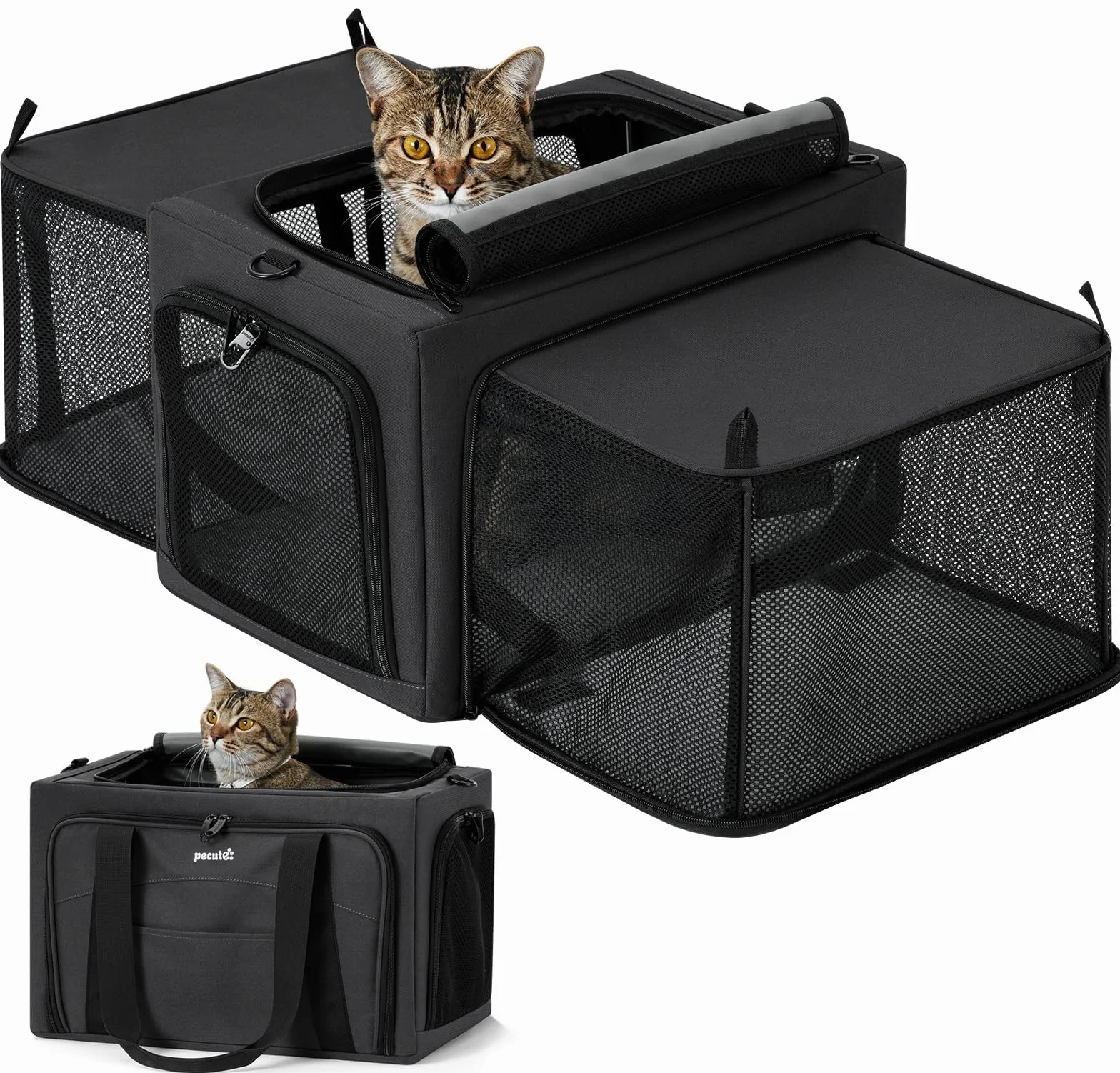 Pecute Transportbox Katze für Katzen & Kleine Hunde, Faltbar mit Seitenerweiterung, Atmungsaktiv Stabil, Ausbruchschutz, Für Auto Reisen Tierarzt, Dunkelgrau
