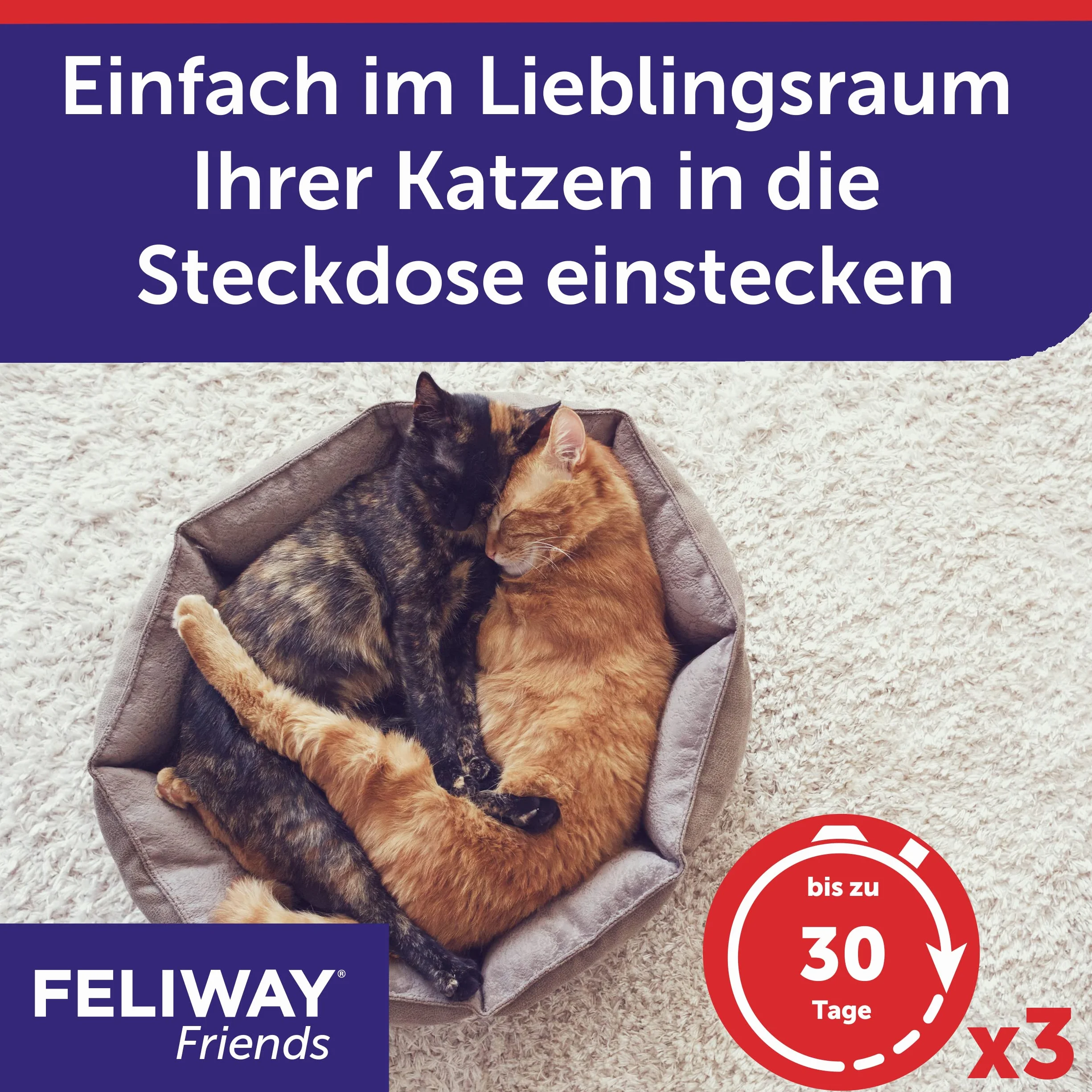 FELIWAY Friends Nachfüllflakon für Katzen | reduziert Konflikte & Spannungen wie Jagen, Kämpfen & Anstarren | reduziert Konfliktverhalten für glückliche Katzen | 3 x 48 ml (neu)