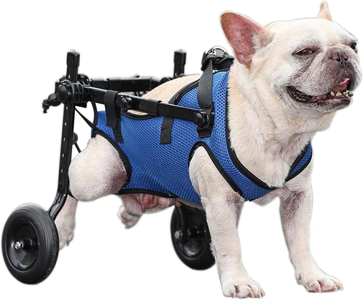 Hunderollstuhl für die Hinterbeine, Mobilitätshilfen für Behinderte Haustiere, Beinschiene und Hüftstütze für Hunde(Medium)