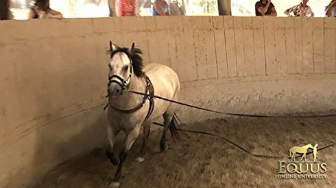 Monty Roberts Offizielles Set mit zwei 9 m langen Leinen.