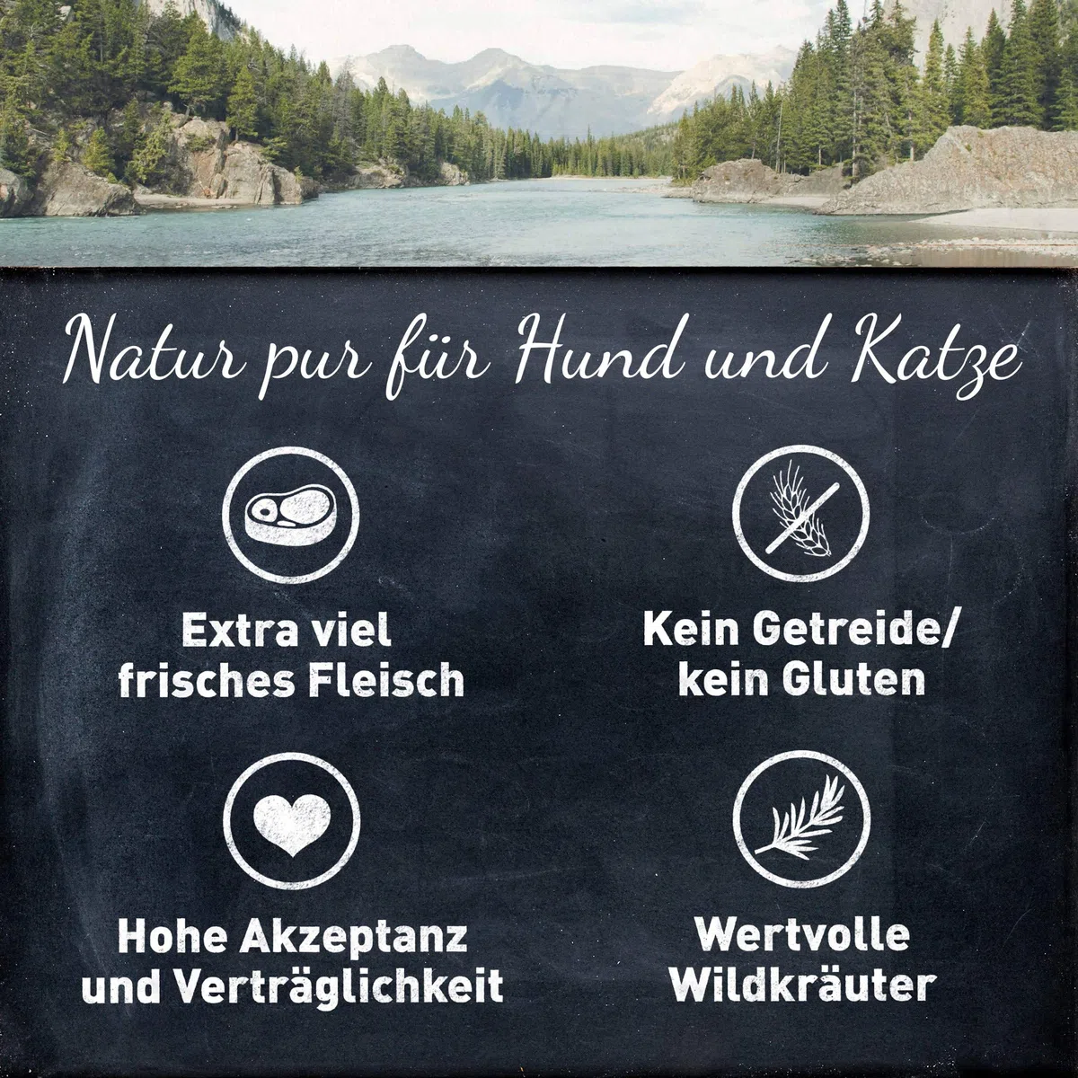 Wildes Land Halbfeuchtes Trockenfutter für Hunde Nr. 1 Lamm 5 kg | Mit Reis und Wildkräutern, Glutenfrei, Extra viel Fleisch, Für alle Hunderassen