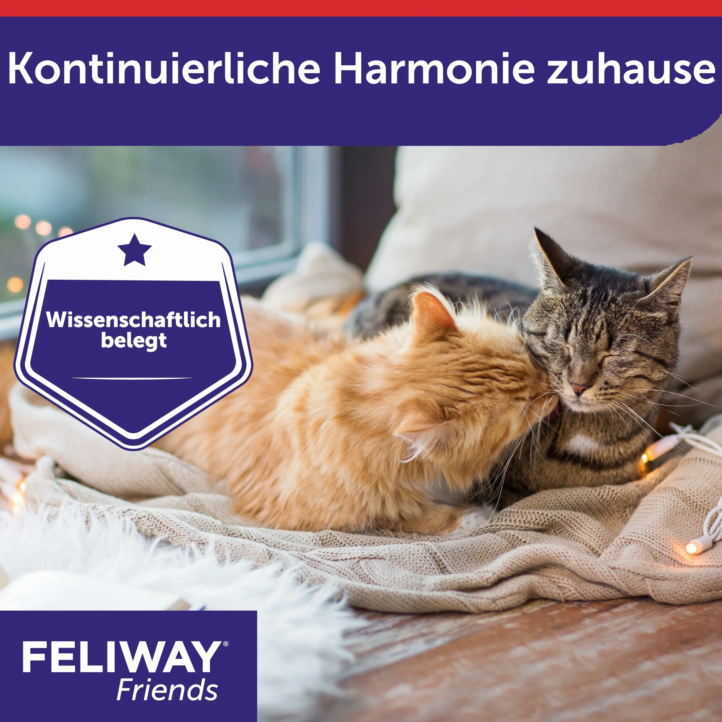 FELIWAY Friends Nachfüllflakon für Katzen | reduziert Konflikte & Spannungen wie Jagen, Kämpfen & Anstarren | reduziert Konfliktverhalten für glückliche Katzen | 3 x 48 ml (neu)