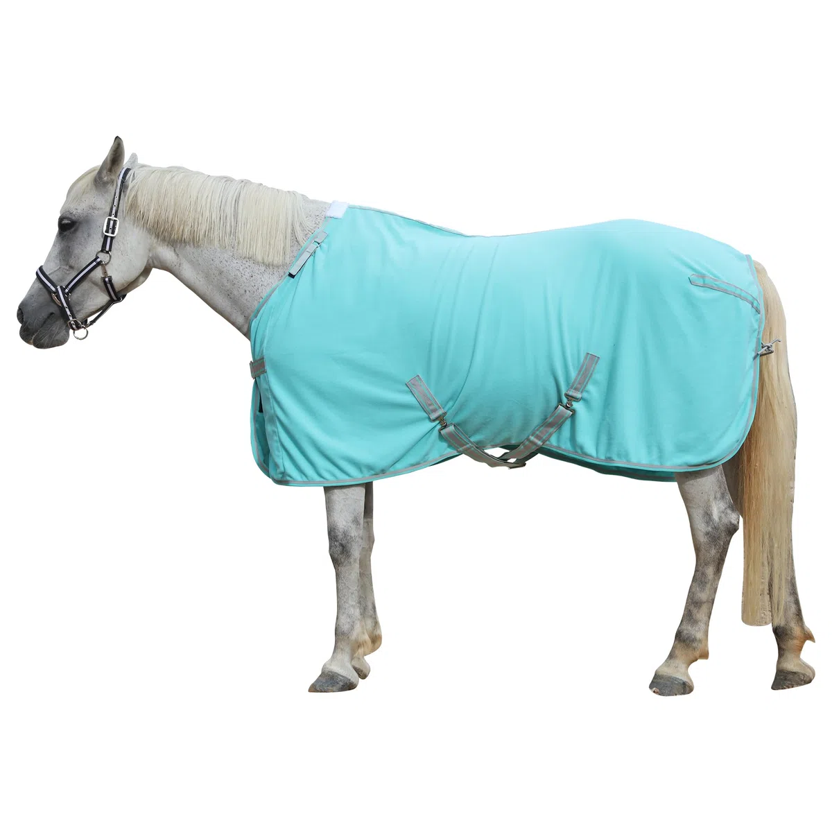 Abschwitzdecke Pferd mit Kreuzbegurtung & Schweifriemen – 300 g/m² Fleece mit Widerristpolster – Schweißabsorbierend & Schnelltrocknend – Pferdedecke für Training, Stall & Transport