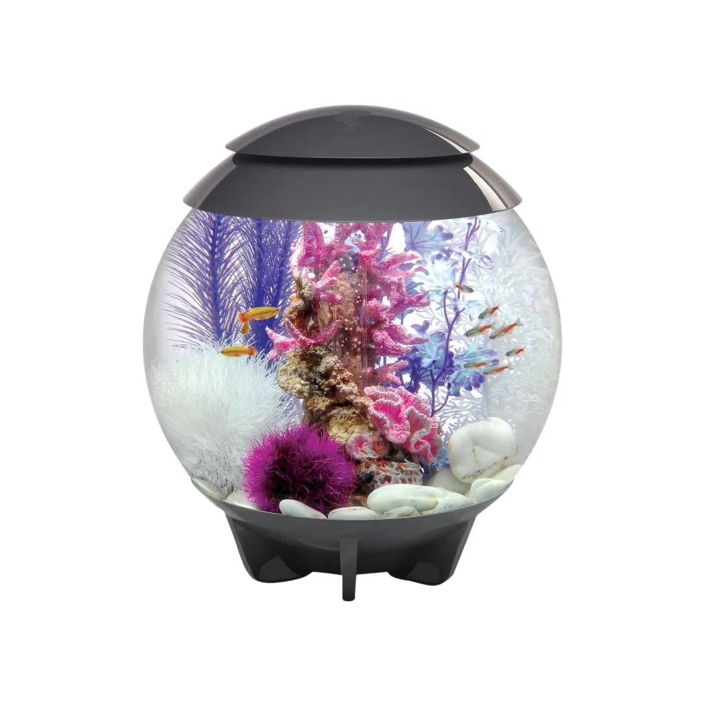 biOrb HALO 30 LED, grau - 360-Grad Deko-Aquarium / Komplett-Set aus Acryl-Glas mit LED-Beleuchtung, Filter-System und Boden-Keramik