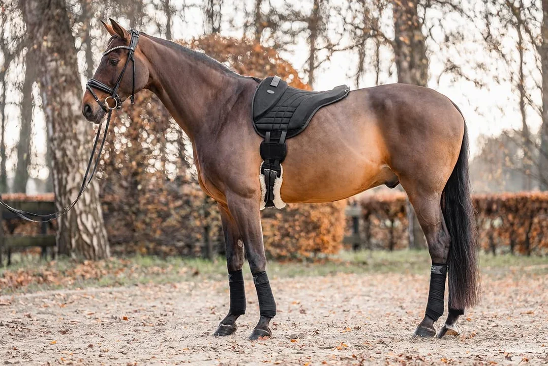 Equinate Reitpad Harper aus synthetischem Wildleder Pony Schwarz - Bareback Pad mit pflegeleichter Neopren Unterseite - Reitkissen Baumloser Sattel